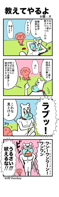 【4コマ漫画】教えてやるよ 