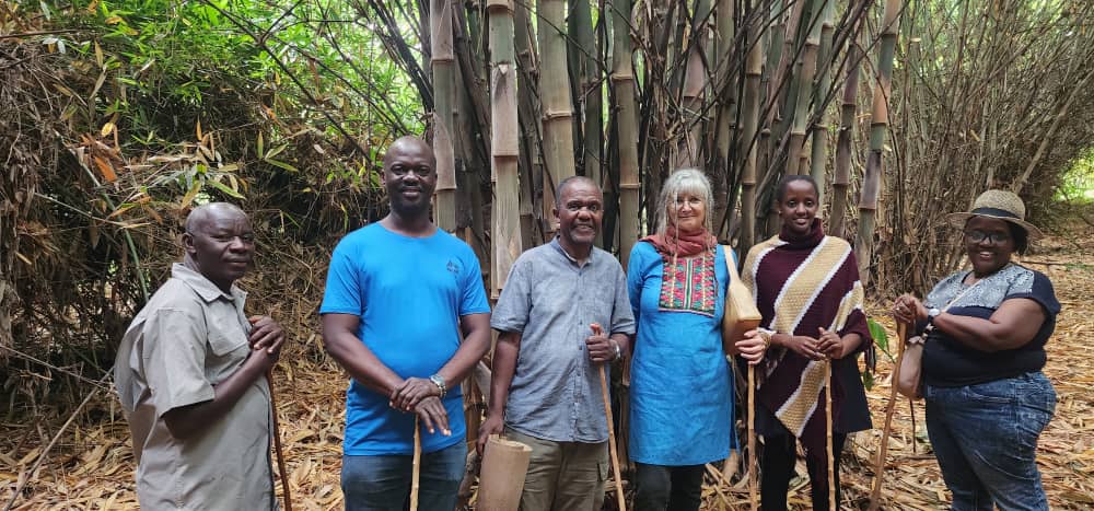 Bamboo Uganda tweet media