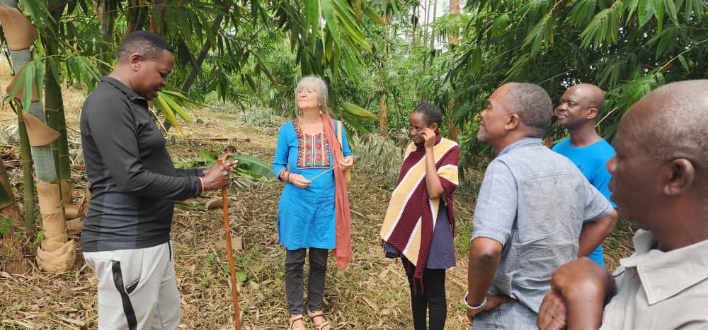 Bamboo Uganda tweet media