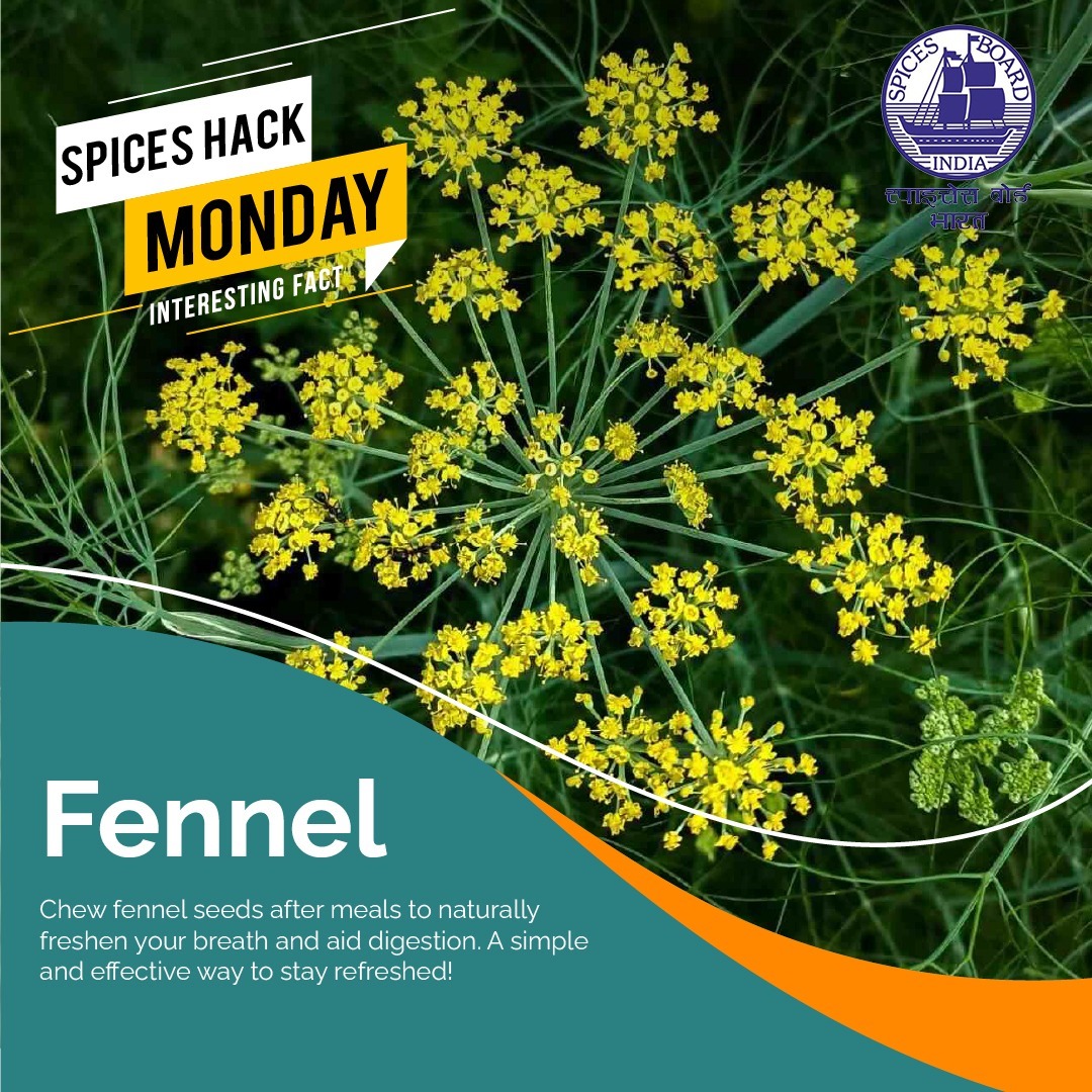Spices_Board's tweet photo. Want a natural way to combat bad breath and support digestion? Try this easy spice hack! @DoC_GoI
#SpiceHackMonday #FennelSeeds #FreshBreath #DigestionBoost #SpicesBoard https://t.co/bubD7AunAd