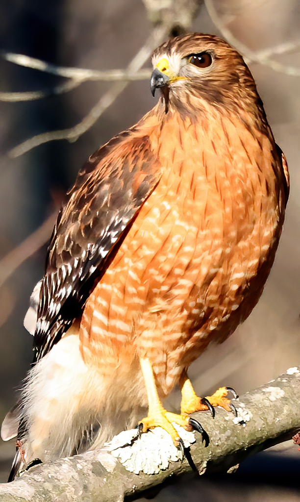 Gary Ladner tweet media