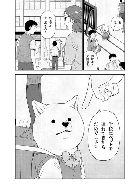 クラスで一番かわいい女の子が校則違反しちゃう漫画です(1/2)
#犬田さん漫画 