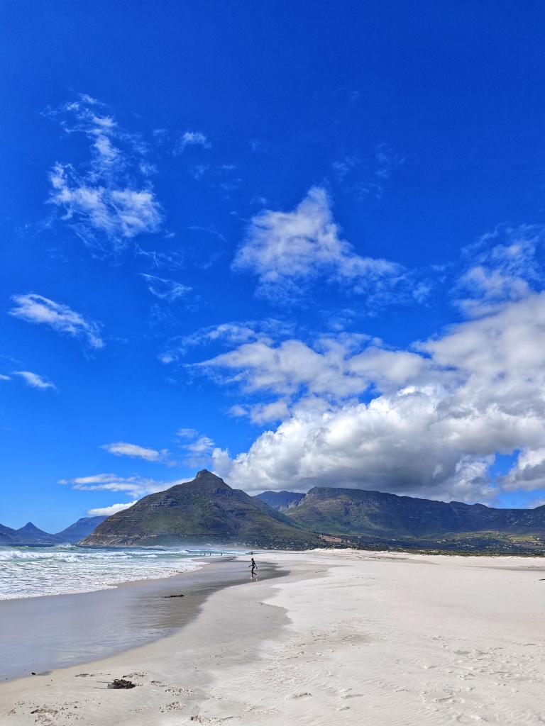 gtorrensribot's tweet image. Having an incredible time at #BMSV2025 in Cape Town! The sessions are insightful! Excited for what’s next!