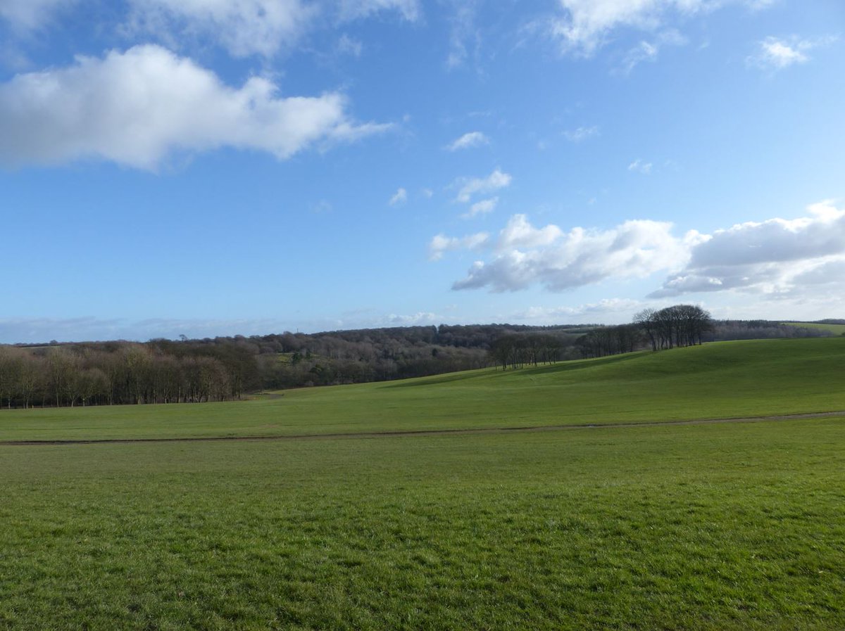 Leeds Parks tweet media