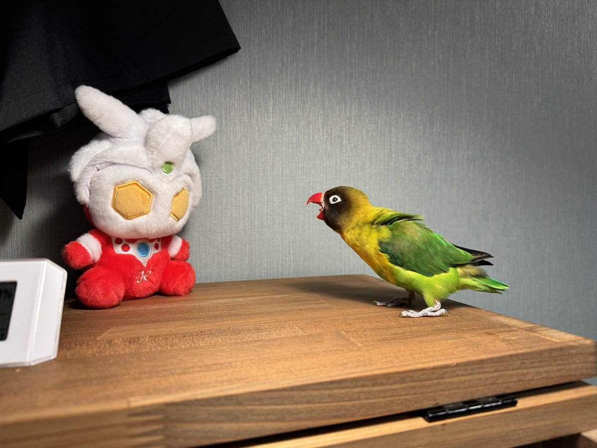 ptr0mea's tweet photo. 越しました https://t.co/nVDEl4D19c