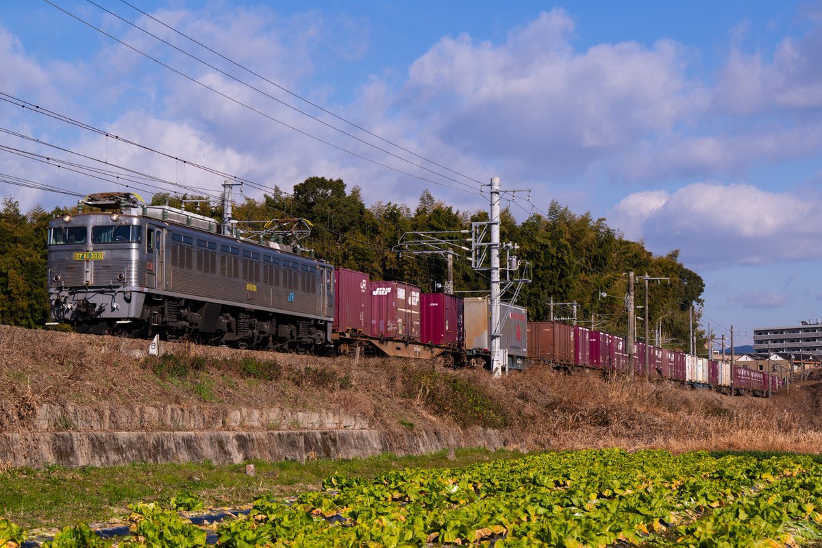 1/30(木)　(3/4)
遅71レ　EF81 303+コキ

71レが9時間超の遅れかつ、303が登板と知り、テンハルへ出撃！！
天気も良好、晴れ空の下を走り去っていきました。
遅れのお陰ではありますが、撮影最終日に銀釜の晴れカットを記録することができて大変嬉しかったです！