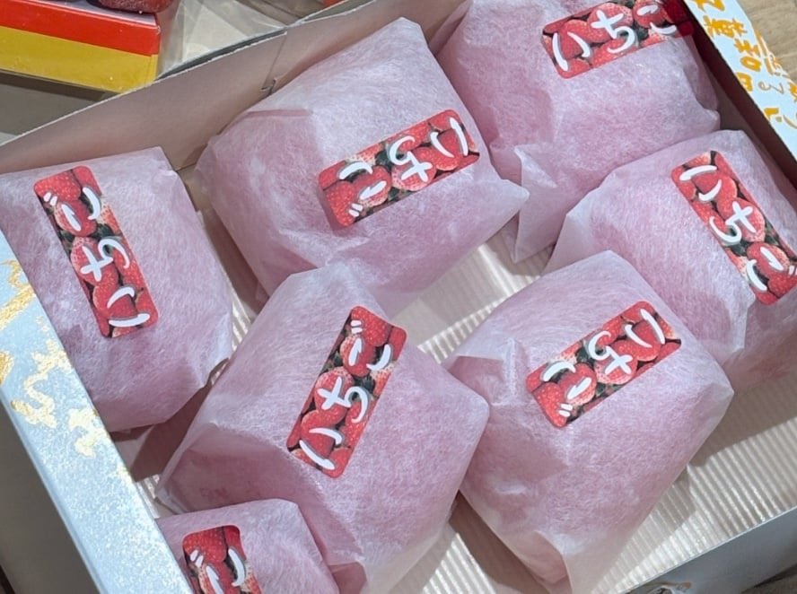 [250203] koko via plus chat 💬 

#izna #이즈나 
#KOKO #코코