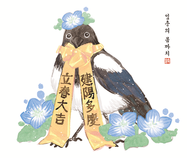 입춘의 봄까치🐦‍⬛