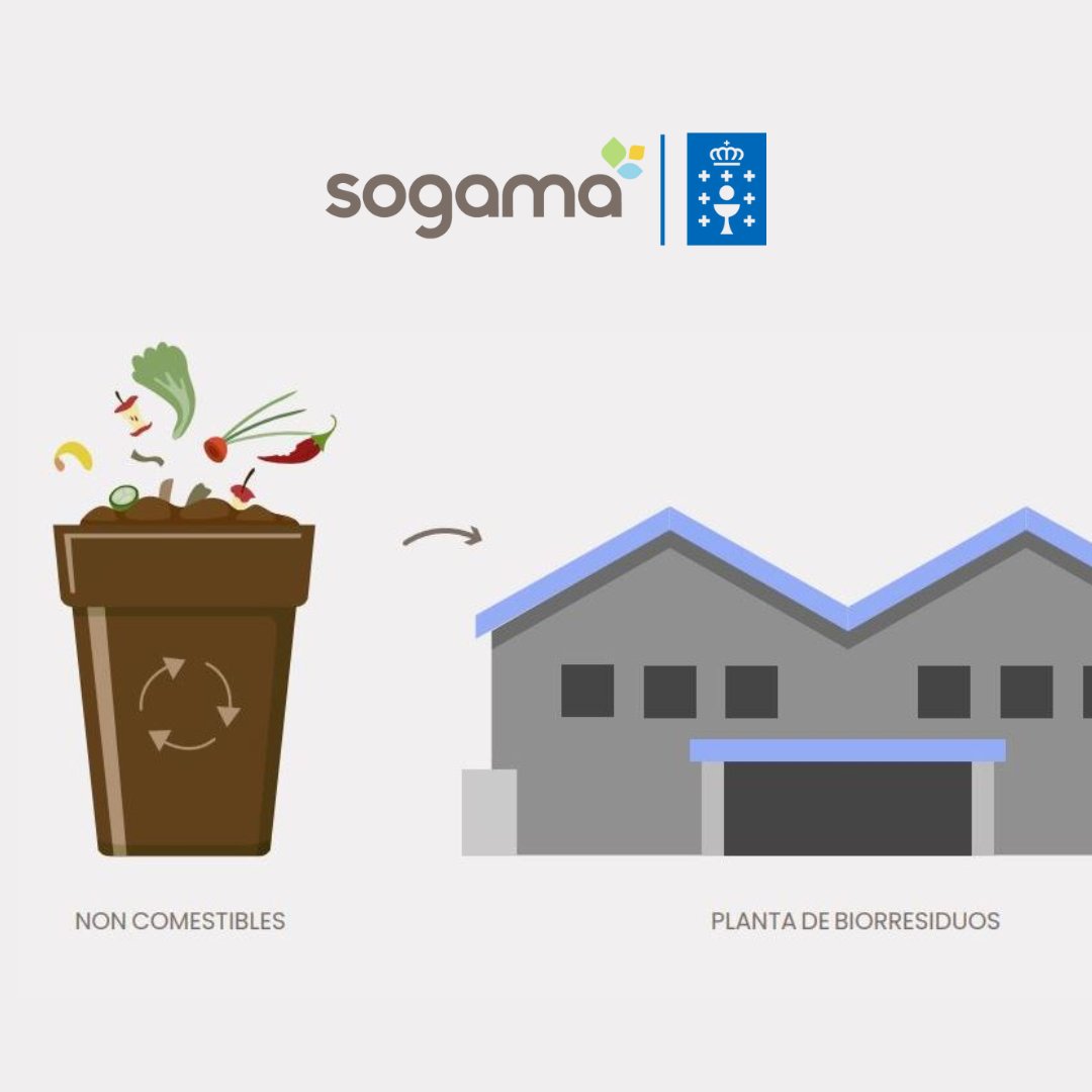 SogamaXunta's tweet photo. ♻️ #Sogama incentiva a recollida diferenciada dos biorresiduos cun canon de 51,4 €/Tn. Unha rede de 17 instalacións que facilitará a xestión da materia orgánica en 295 concellos. 💚
🌐 https://t.co/K9GDc5nAjV
#Biorresiduos #Sostibilidade #Compostaxe https://t.co/dINiI7gegy