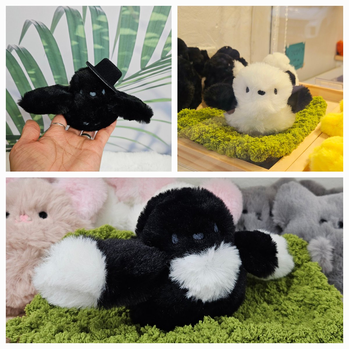 털찐 까마귀, 오목눈이, 까치 온라인 분양합니다~ https://t.co/Tl7rsRDssW