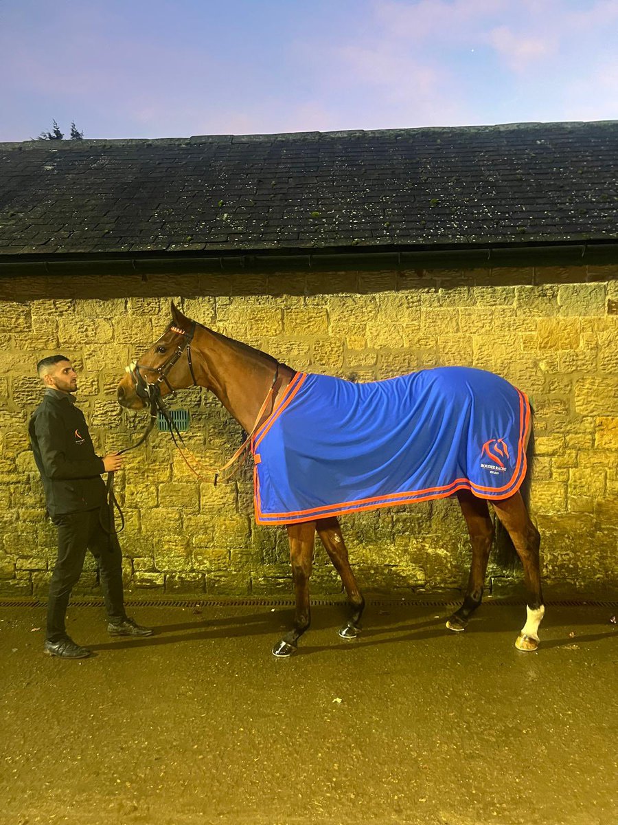 Memardee runs <a href="/WolvesRaces/">Wolverhampton Races</a> today for <a href="/ahaynesracing/">Alice Haynes Racing</a> with <a href="/ONaillers2010/">Kieran O Neill</a> taking the ride . Good luck to her owners 🟠🔵#teamroudeeracing