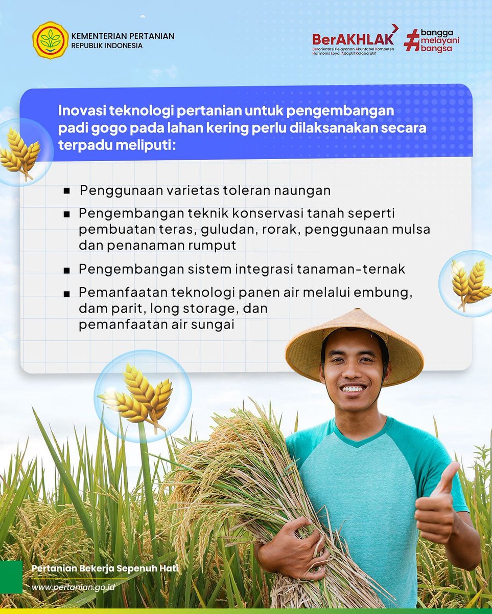 brmptanpangan's tweet photo. Repost Kementerian Pertanian Republik Indonesia
SobaTani, kita kenalan dengan padi gogo yuk! Selengkapnya soal padi gogo, simak informasi berikut ya! PadiGogo.
#Tanipedia #FunfactTani #KementerianPertanian https://t.co/MhiwyzLP8U