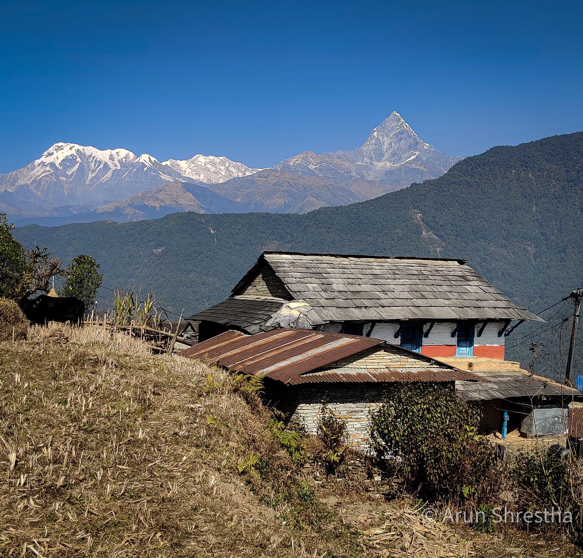 अर्मलाकोट, पोखरा-२०