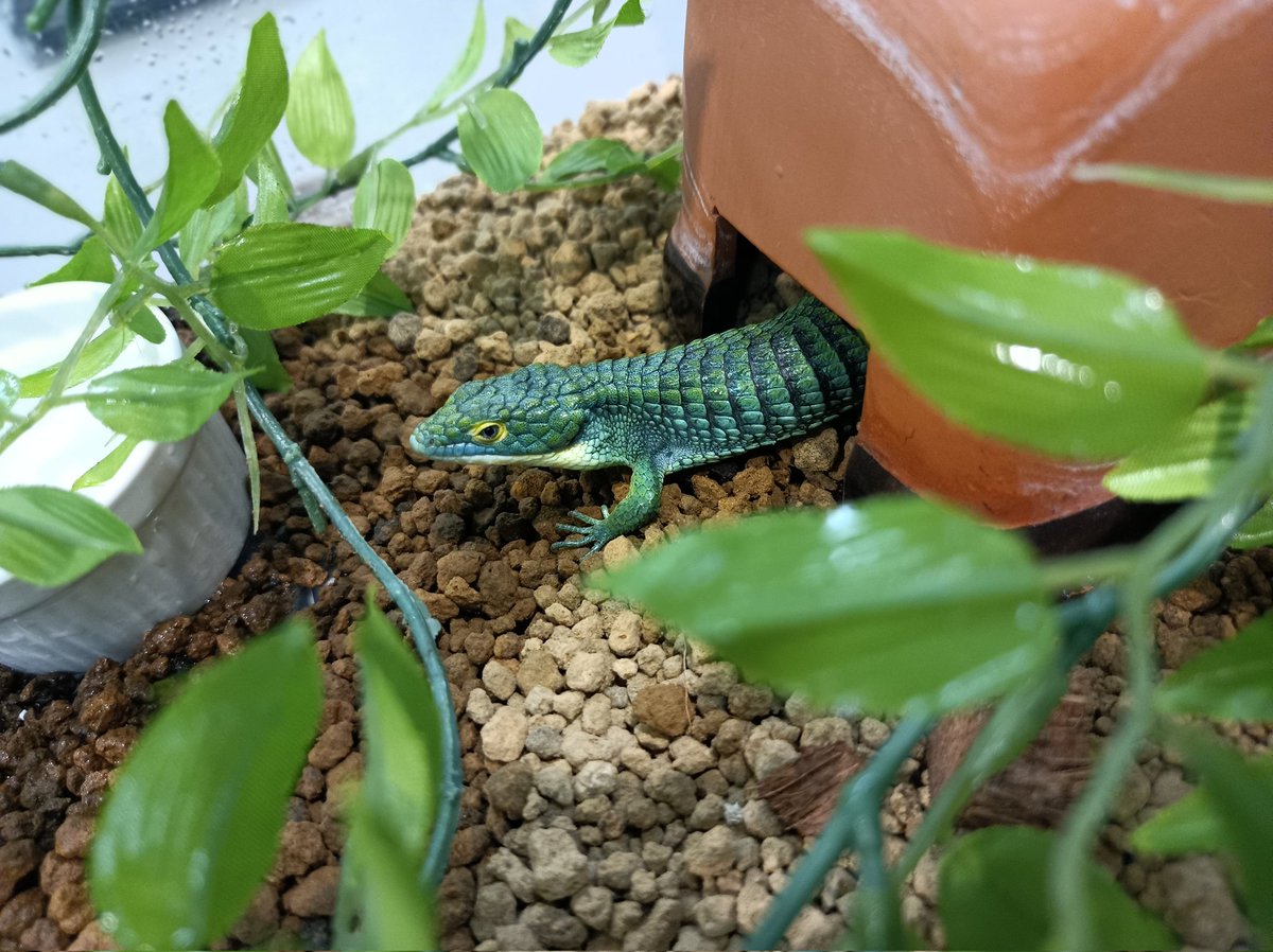 ももれおんページ ももれおん😺 on X