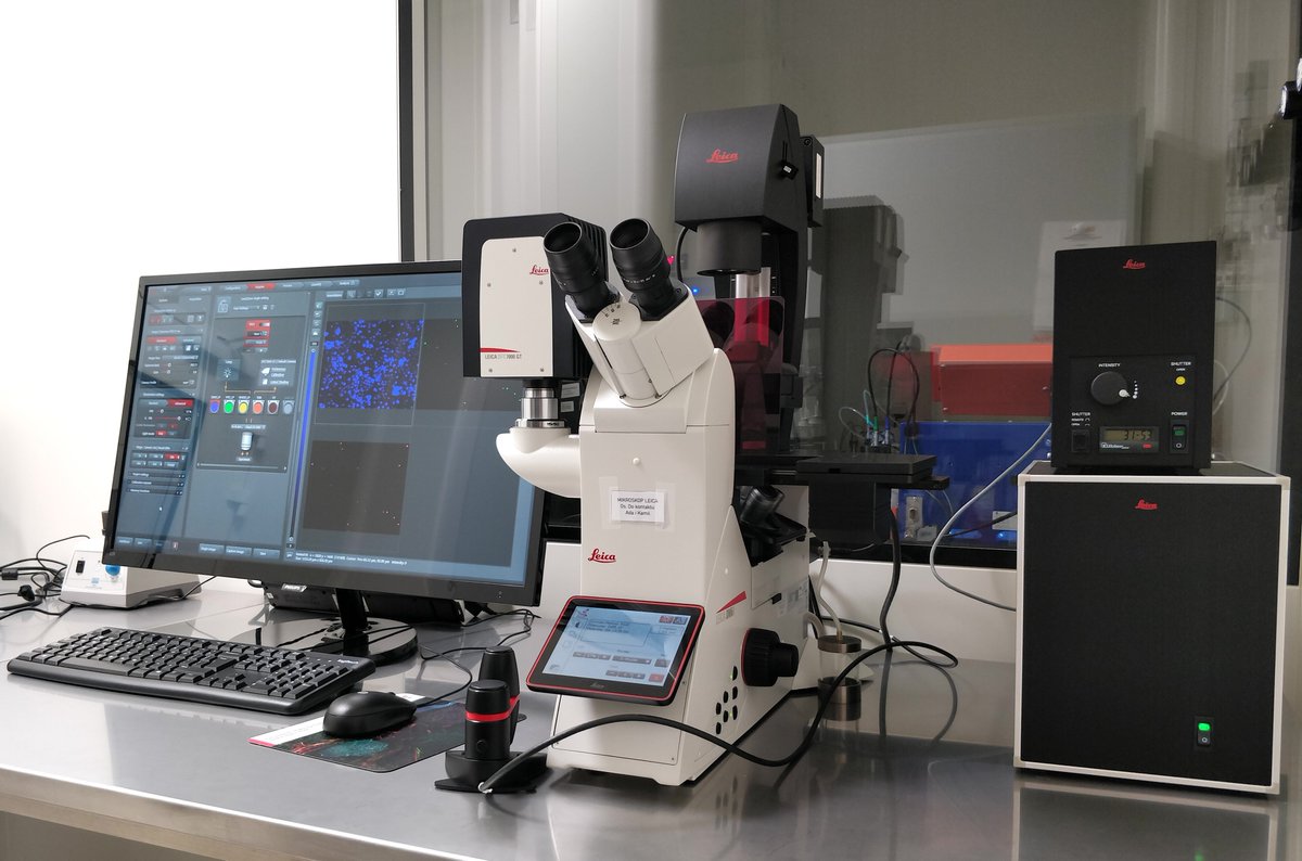 SilesiaLabMed's tweet photo. Posiadamy dwa mikroskopy fluorescencyjne Leica DMi8 z odwróconym układem obiektywów, pozwalające na obserwację komórek w czasie rzeczywistym. Jeden z nich wyposażony jest w inkubator, który umożliwia pracę na żywych komórkach w warunkach kontrolowanych.
#nauka #mikroskopia #Leica https://t.co/iR0MgELPXS