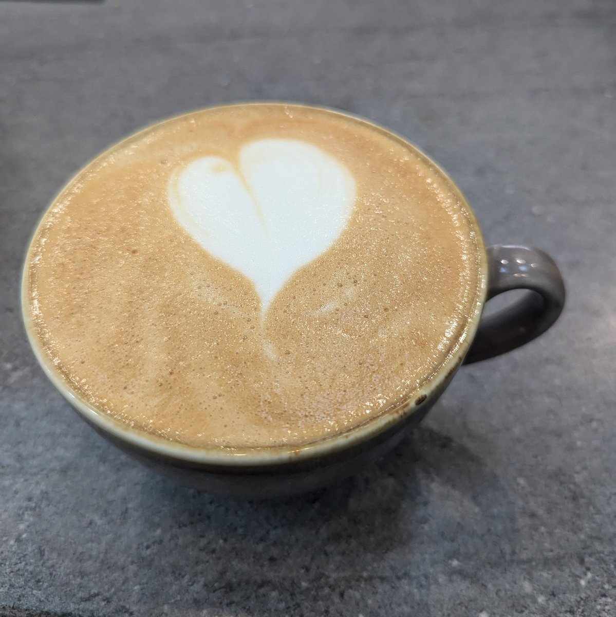 Coffee Shop Penguin 🇵🇸🇻🇪🇨🇩☕ tweet media