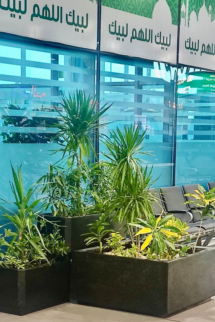 Cairo International Airport tweet media