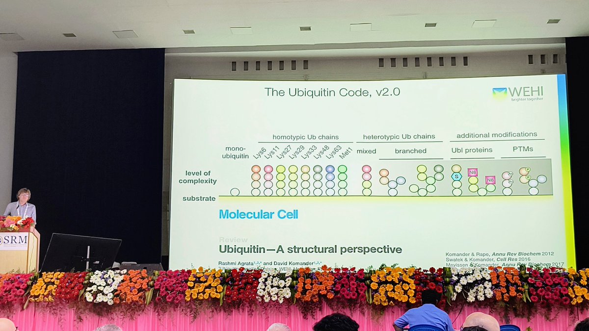 Aravind Ravichandran (@aravindr27) on Twitter photo Talk on intersection between Ubiquitin and Sugars by David komander...small happiness sneaking out from a corner seeing <a href="/Rashmi_Agrata/">Rashmi Agrata</a> 's name !! #ProUPS Talk on intersection between Ubiquitin and Sugars by David komander...small happiness sneaking out from a corner seeing <a href="/Rashmi_Agrata/">Rashmi Agrata</a> 's name !! #ProUPS
