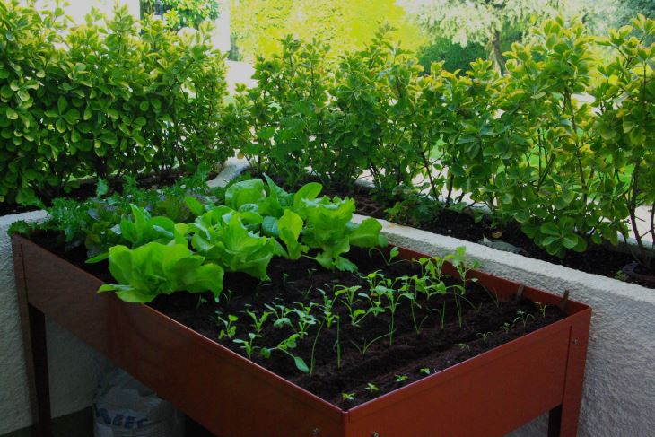 Check out the latest article in my newsletter: 🌱 Helping Cuba Help Itself – Be Part of the Change! ☀️ linkedin.com/pulse/helping-… via <a href="/LinkedIn/">LinkedIn</a>