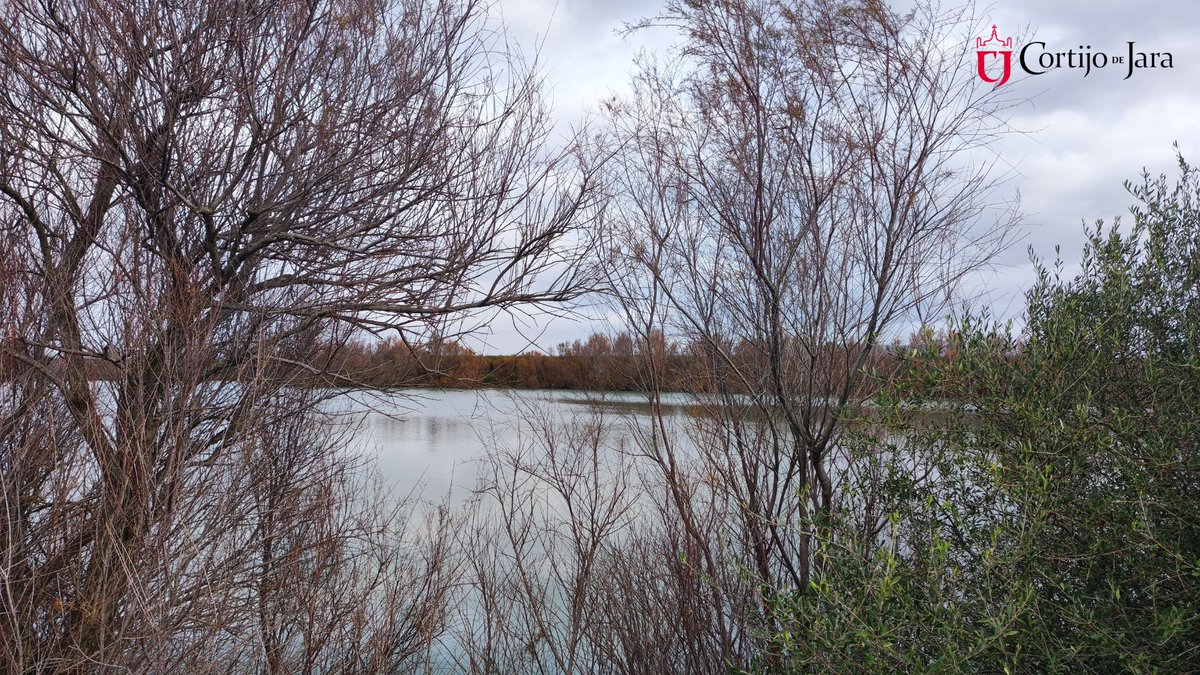 Empezamos febrero con esta hermosa estampa invernal de la laguna en Cortijo de Jara. ❄️ La naturaleza sigue su curso, regalándonos paisajes únicos en cada estación. 🍷💚
#vineyards #redwine #spanishwine #cortijodejara #vino #vinosdejerez #wine