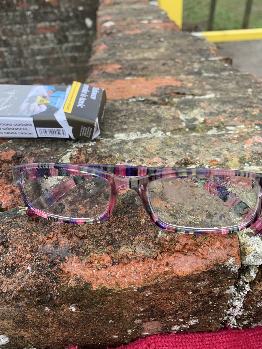 Found in the park this morning and waiting for their owner at the Berrylands entrance