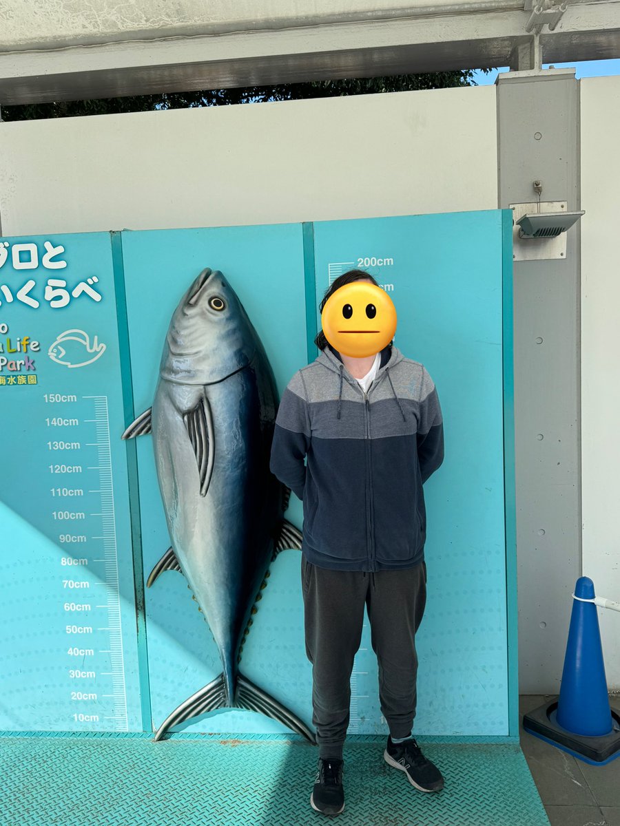 KrakeKrakeKrake's tweet photo. Incredible Tokyo…
I wish: I could’ve stayed longer… and found *way* more vtuber merch 🙏 https://t.co/lzMIMtewVj