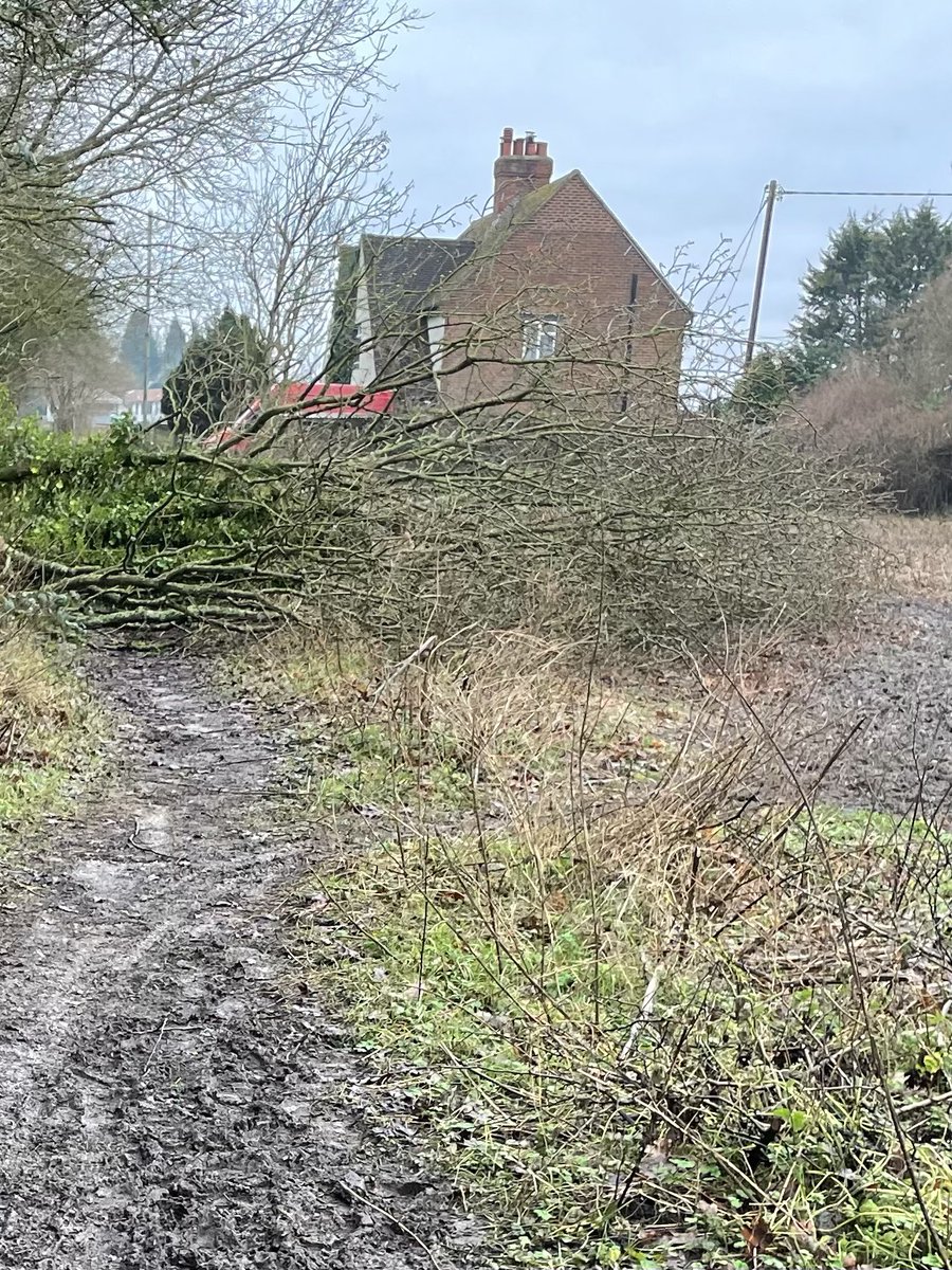 julesx10's tweet photo. Can’t go over it can’t go through it ! Let’s go round it 🤪 thankfully mud still frozen 😍 #Treedown #TreeClub 💚🌳 https://t.co/uY7tPQMOa5