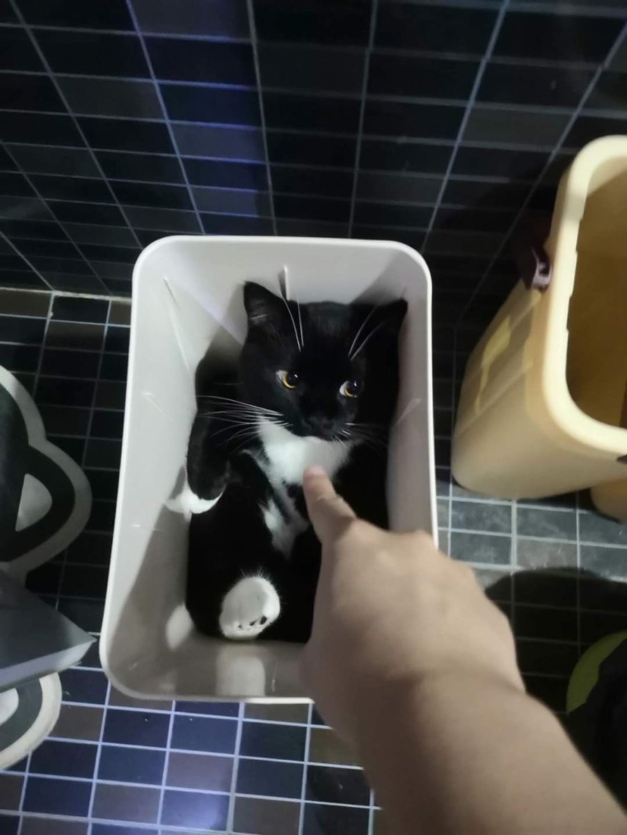 C OPEN 🤠 ORDER APP PREM? KE WA YA SAYANG 🩷 (@sukmmer) on Twitter photo 