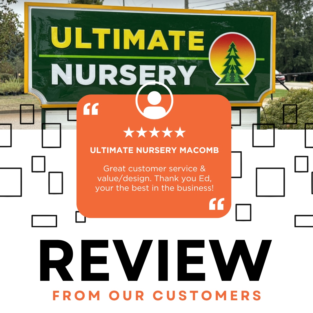 Phillips_Sign's tweet image. We're so excited to share this 5-star review from Ultimate Nursery Macomb! Thank you for letting us create and install your business signage. 

#PhillipsSign #GoogleReview #PerfectReview #DetroitSignage