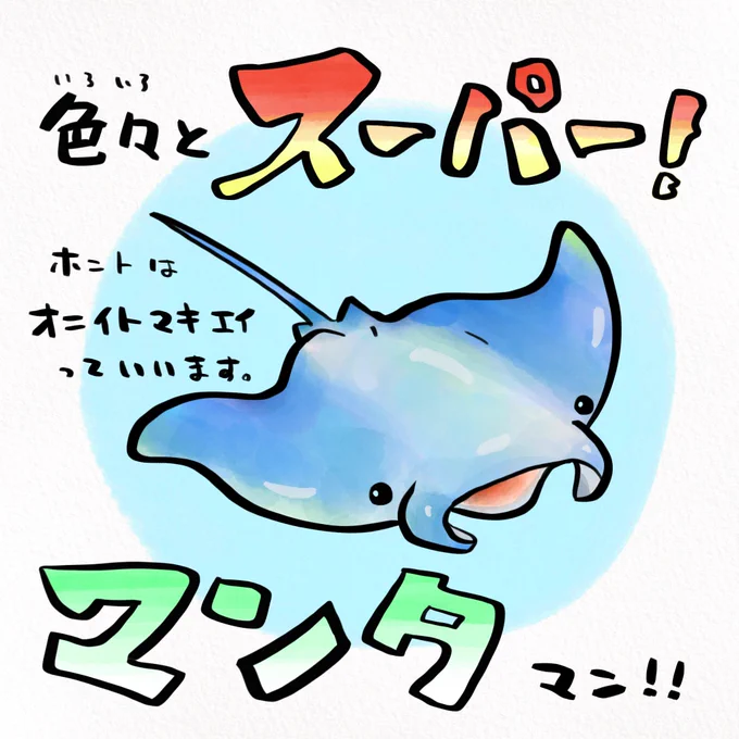オスのマンタは飛べるほどモテる 