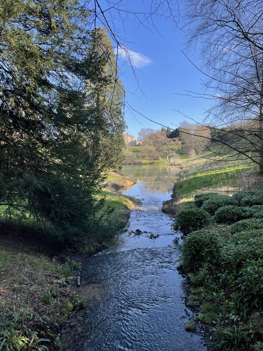 Debbie Chatting tweet media