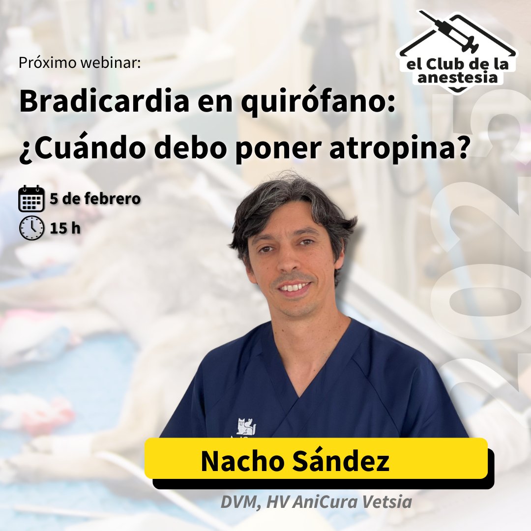 Fatroiberica's tweet photo. En 2025 vuelve El Club de la Anestesia! Este año arrancamos el 5 de febrero a las 15h con Nacho Sández, que nos va a hablar de Bradicardia en quirófano.
¿todavía no tienes tu plaza? Resérvala en https://t.co/tKLjfBUhaF https://t.co/JMxJY0RSSB
