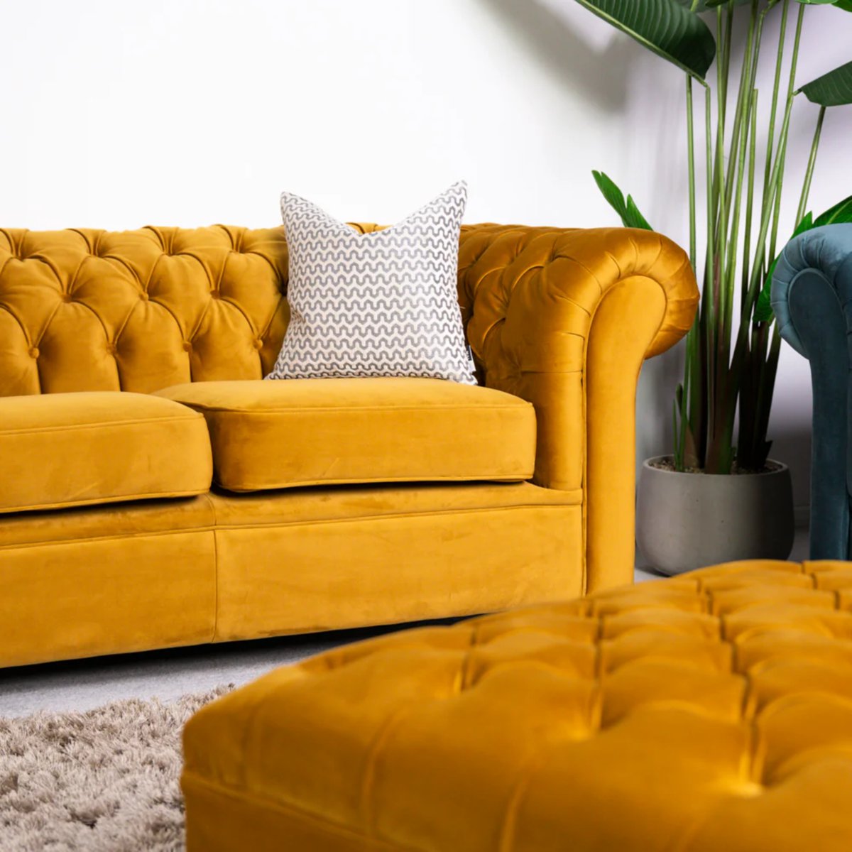 FWHomestores's tweet photo. Winter Sale Alert!

Elevate your living room with the Dovecote 3 Seater Sofa—now up to 50% off!

Available in teal and mustard velvet, this Chesterfield-inspired sofa features a deep-buttoned back, rolled arms, and plush cushions for ultimate comfort.

#WinterSale #VelvetSofa https://t.co/yFRssxr6Iu
