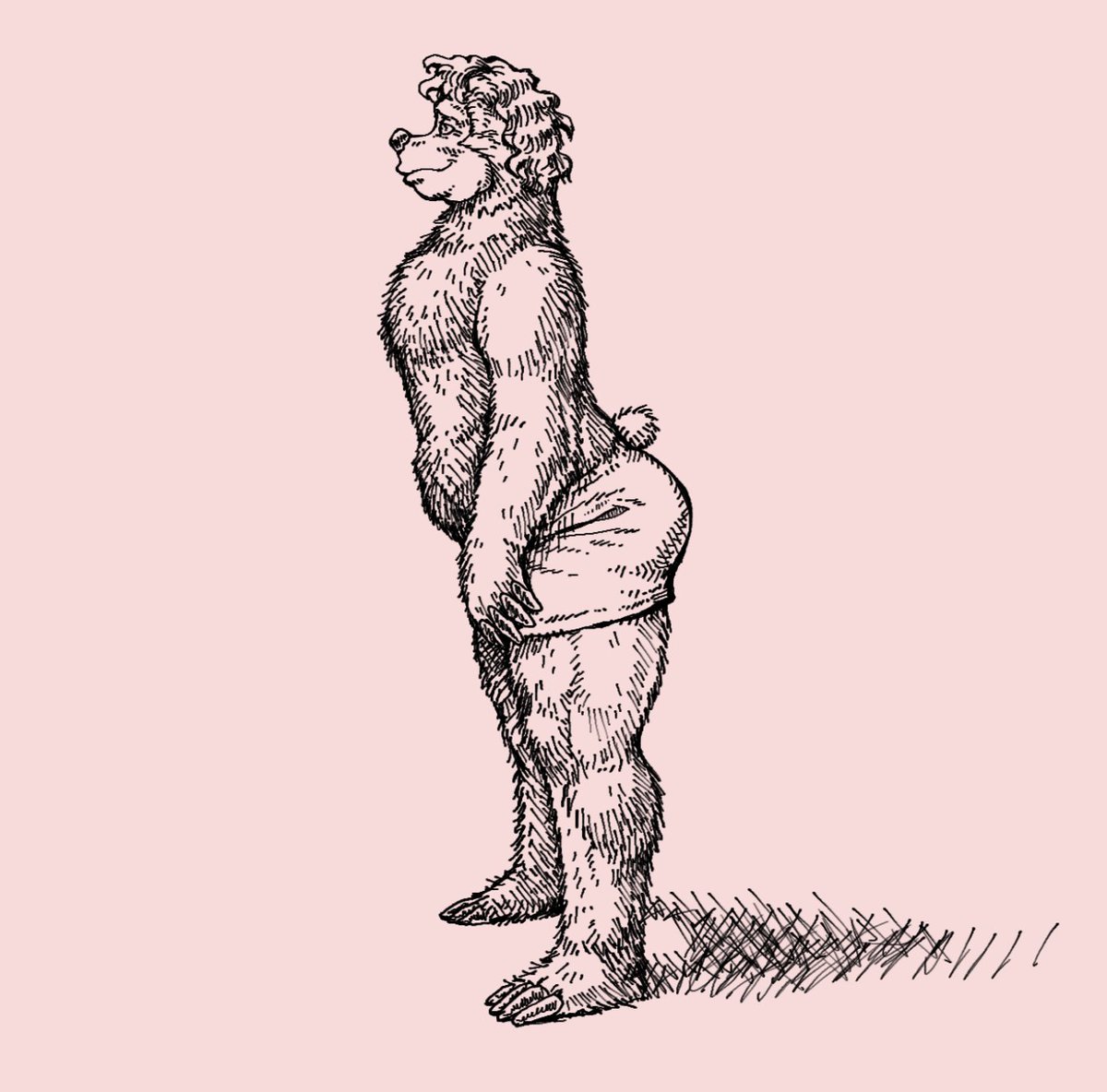 TheAlpacaQueen's tweet photo. beach bear drawn the way robert crumb draws women https://t.co/DzGMrJd4Xx