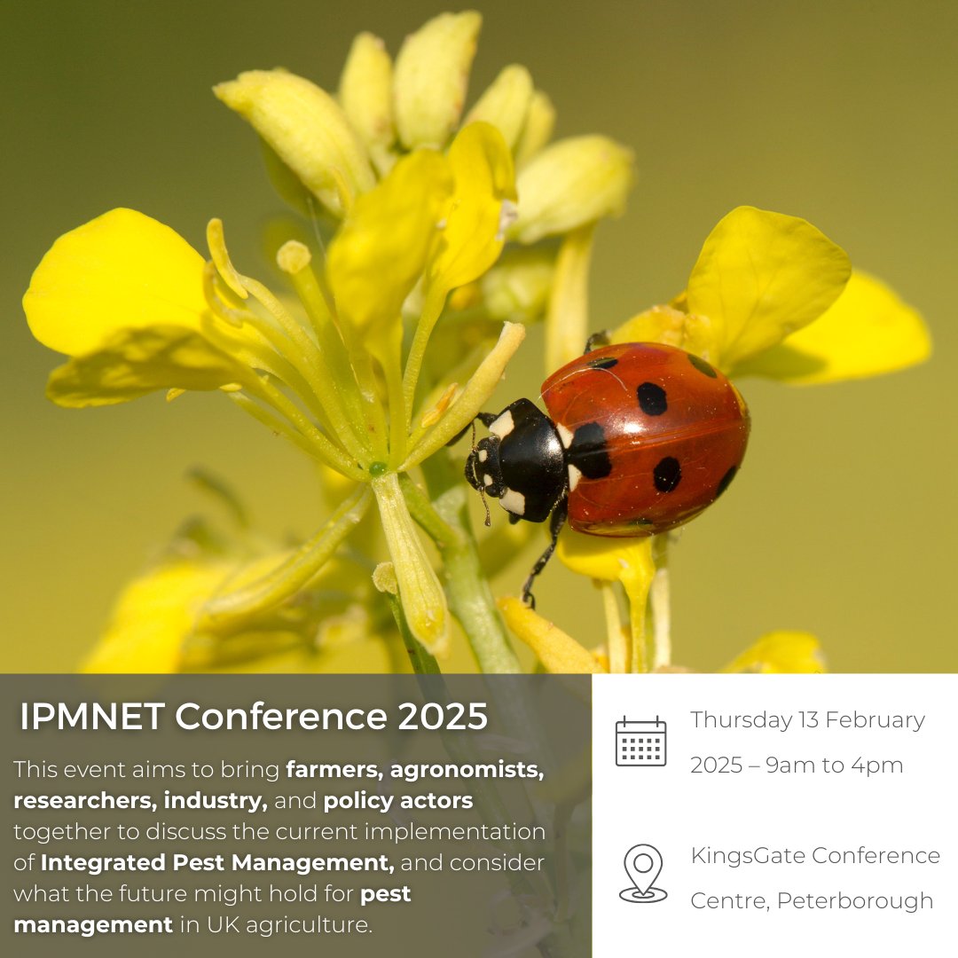 ADAS (@adasgroup) on Twitter photo 📅Join us on the 13th of February in #Peterborough for the IPM NET Conference
🐞 Don't miss this chance to learn, network, and discuss the future of #pest management
🍽️ The event is free to attend and lunch will be provided
🔗Sign up here adas.co.uk/events/ipmnet-…
<a href="/mwramsden/">Mark Ramsden</a> 📅Join us on the 13th of February in #Peterborough for the IPM NET Conference
🐞 Don't miss this chance to learn, network, and discuss the future of #pest management
🍽️ The event is free to attend and lunch will be provided
🔗Sign up here adas.co.uk/events/ipmnet-…
<a href="/mwramsden/">Mark Ramsden</a>