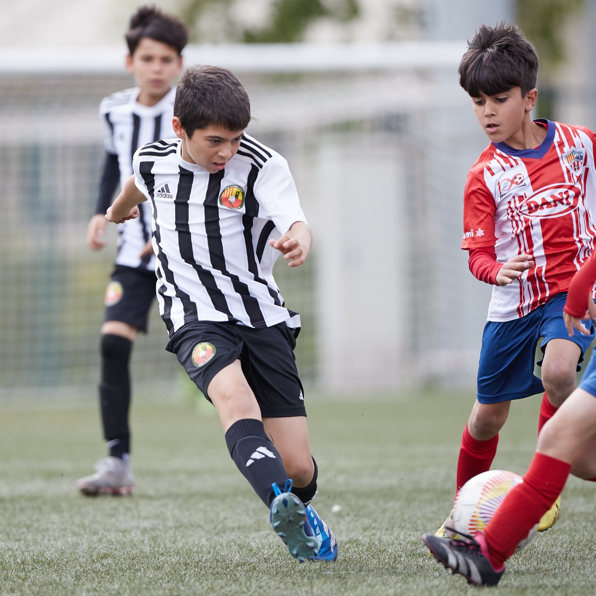 TARfootball_'s tweet photo. 👋 @JabacTerrassa
Benvinguts de nou al #TARExperience!
🔥 Un fixe al torneig que sempre ens brinda bon futbol.
#TAR25 #U11Promises https://t.co/14Bj9NA4rS