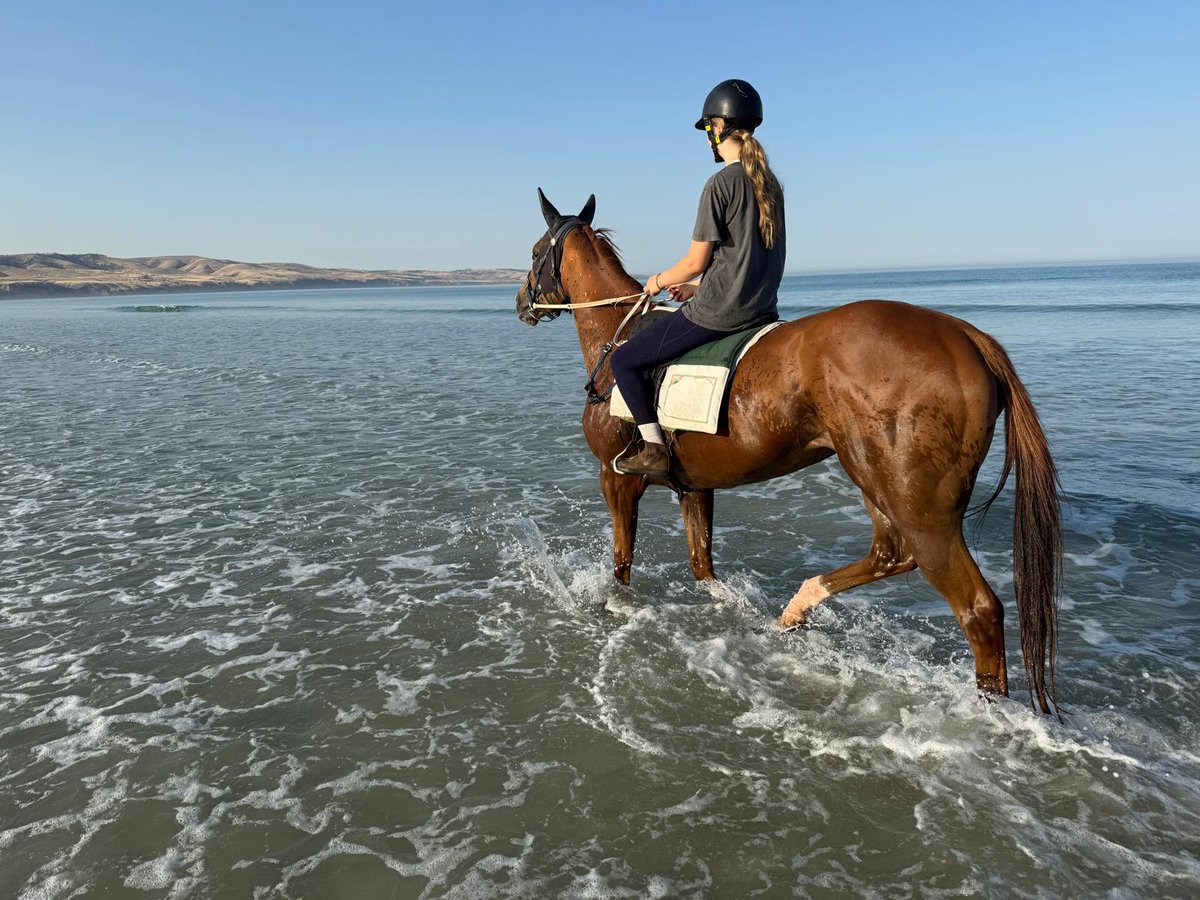 Winning by 3 lengths on Saturday, relaxing at the beach on Monday 💁🏼‍♀️

The way of life at Clarken Racing 🏝️
