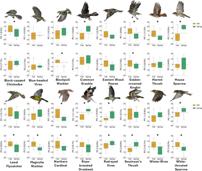 MicrobiomeJ's tweet photo. In #AnimalMicrobiome

🚨Evaluating the effects of #season, #migration distance &amp; #taxonomy on the uropygial gland microbiota of 18 passerine species🐦🐦‍⬛

📢Season, then migration distance, had the strongest influence on #MicrobialCommunity composition🦠

👉https://t.co/U4RoOp9UwW https://t.co/laSdbxBx86