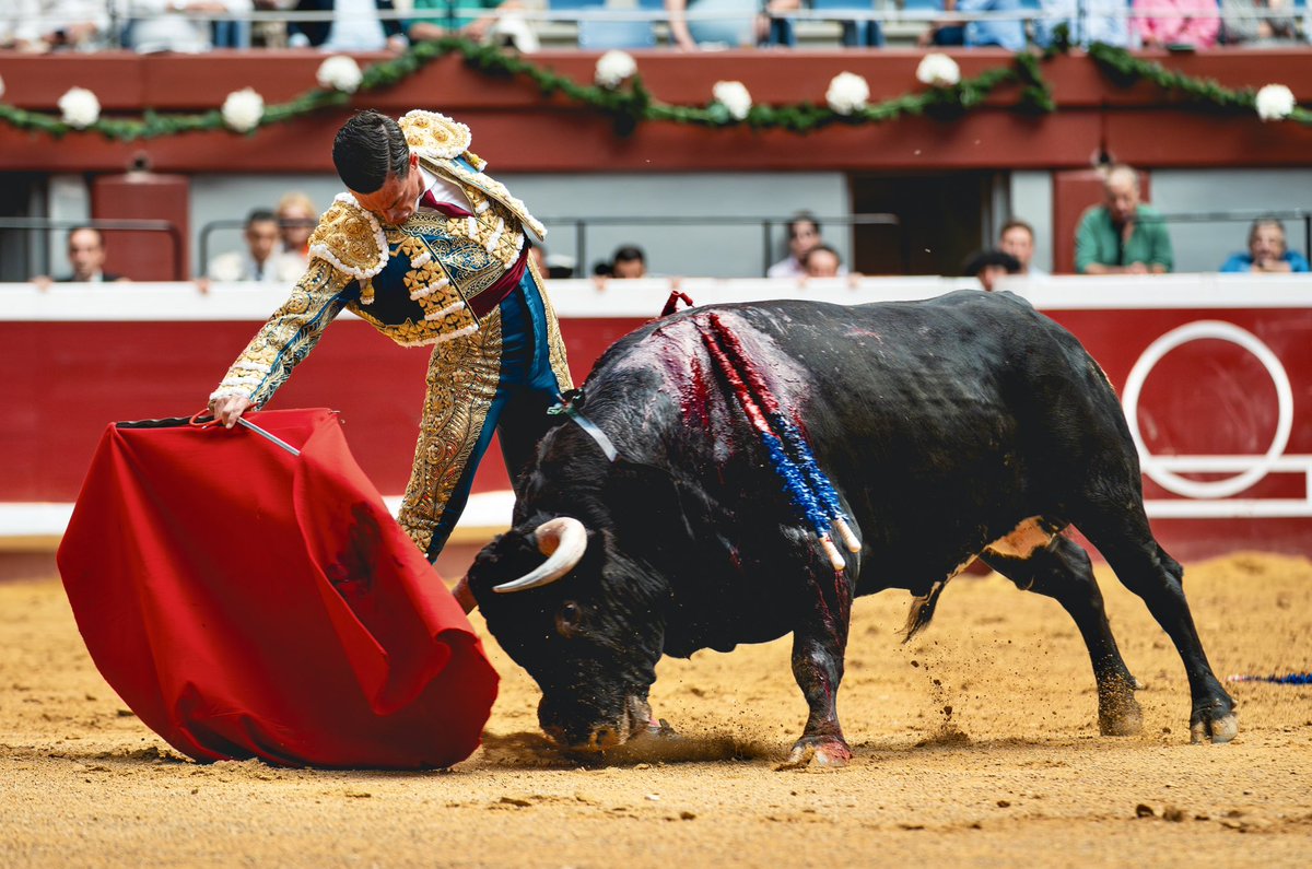 Plaza de Toros de Illumbe tweet media