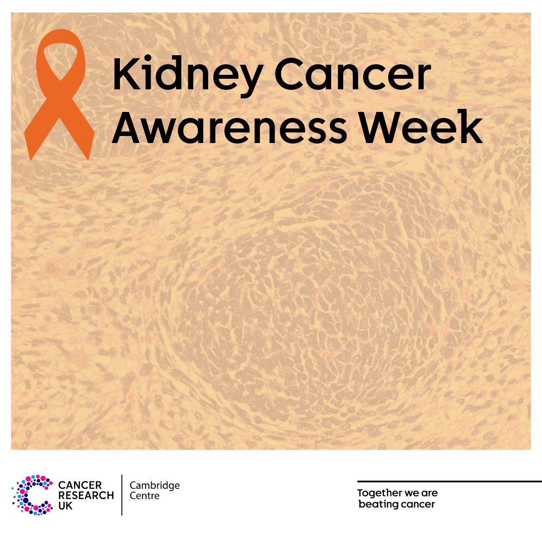 CRUKCamCentre's tweet photo. During #KidneyCancerAwarenessWeek, we will be spotlighting some of our kidney and prostate cancer researchers! Find out how innovative approaches are transforming patient care. #FocusOnCamCancer @CUH_NHS @Cambridge_Uni @CRUKresearch @CRUKCamUrol @EarlyCancerCam @CambCancer https://t.co/FV772hbokR