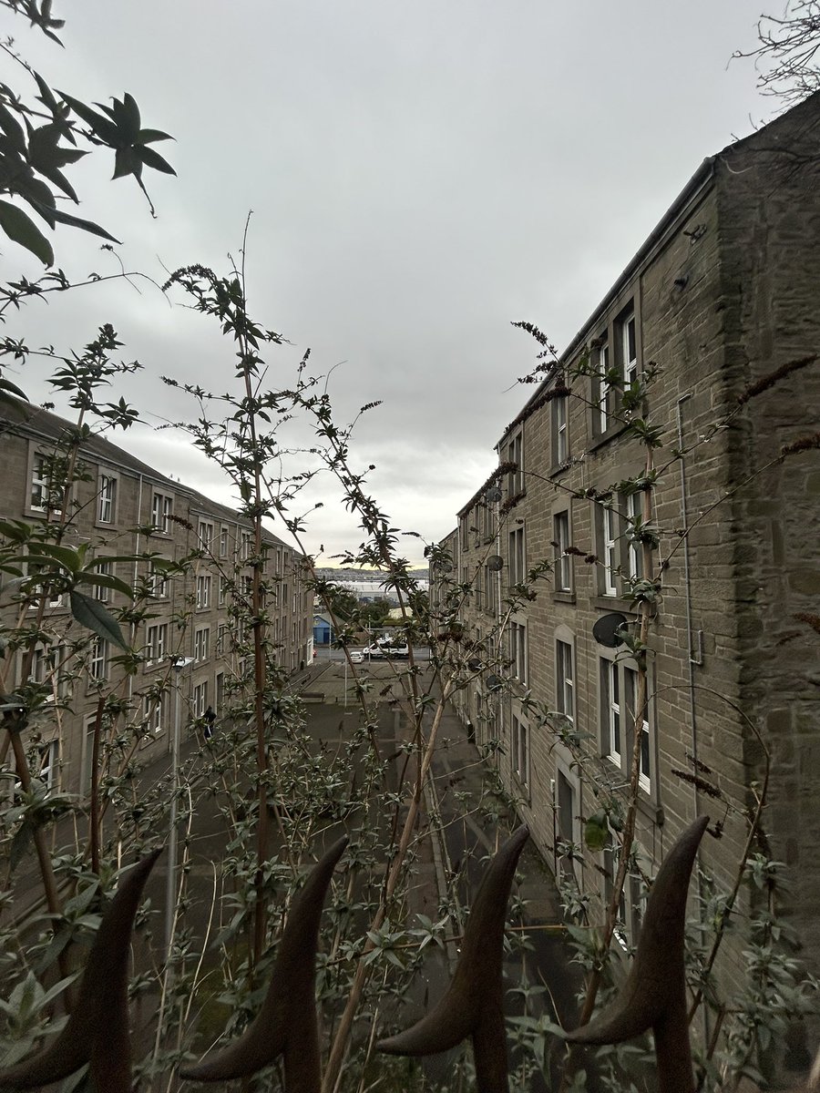 HarrisSfL tweet media