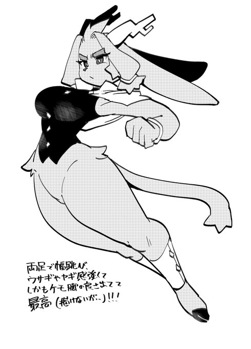 以前のけもケで頒布した、P……の二次創作コピー本を公開!!!(2/3) 