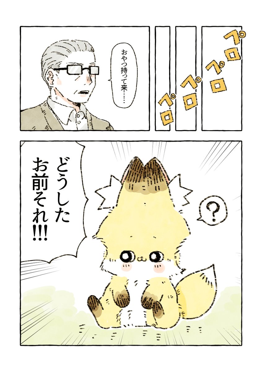 毛繕い🐕🦊 