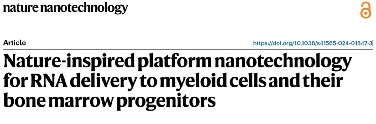 Roy van der Meel (@rvdmnanomeds) on Twitter photo 🔥 just out in <a href="/NatureNano/">Nature Nanotechnology</a>! Together with <a href="/WillemNANO/">MulderLab</a> and our awesome teams <a href="/TUeindhoven/">TU Eindhoven</a> & <a href="/radboudumc/">Radboudumc</a> we established new #apolipoprotein #nanotechnology for #RNA delivery to the bone marrow🦴!
🗞️➡️ nature.com/articles/s4156…
This has been in the making for 5 years! A 🧵 1/9 🔥 just out in <a href="/NatureNano/">Nature Nanotechnology</a>! Together with <a href="/WillemNANO/">MulderLab</a> and our awesome teams <a href="/TUeindhoven/">TU Eindhoven</a> & <a href="/radboudumc/">Radboudumc</a> we established new #apolipoprotein #nanotechnology for #RNA delivery to the bone marrow🦴!
🗞️➡️ nature.com/articles/s4156…
This has been in the making for 5 years! A 🧵 1/9
