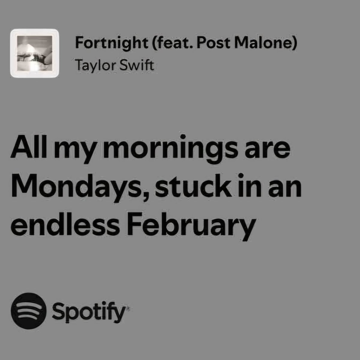 pttswift's tweet image. 🤍🩶