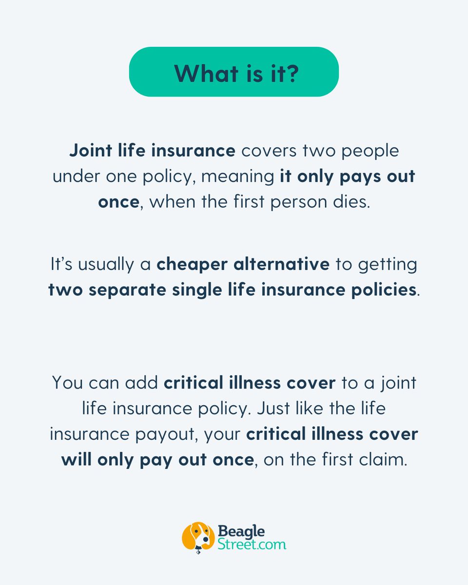 Beagle Street tweet media