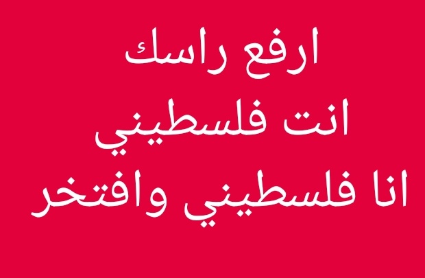🇵🇸