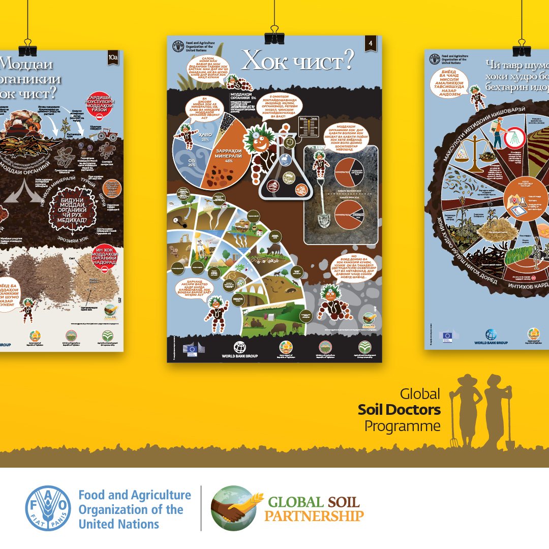 FAO Land, Soil and Water tweet media