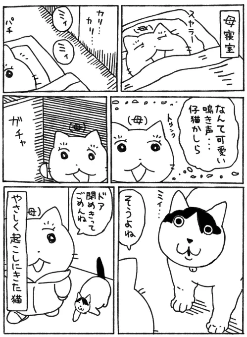 キトゥン 