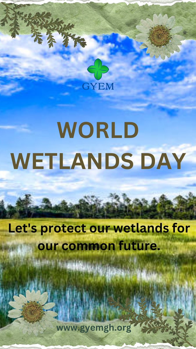 🌿 Did you know? Wetlands are nature’s kidneys, filtering water, reducing floods, and supporting incredible biodiversity! 🦆💧 This #WorldWetlandsDay, let’s protect these vital ecosystems for a healthier planet. 🌍💚We cannot put Earth on dialysis, think about the future NOW!!!
